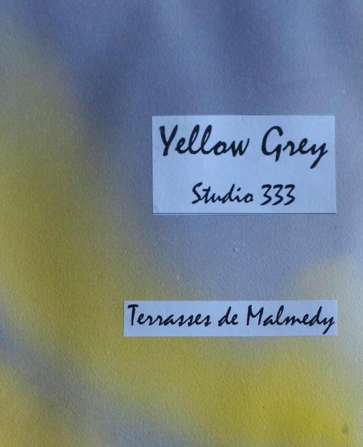 Les Terrasses De Malmedy Studio 333 Yellow Grey المظهر الخارجي الصورة